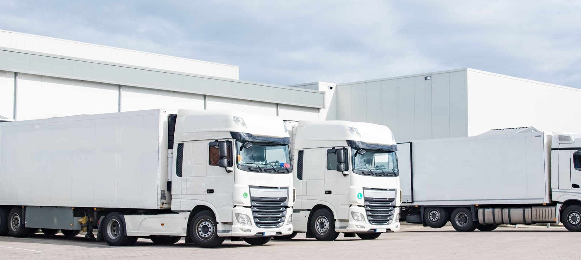 Academia PX — Web Detail 1