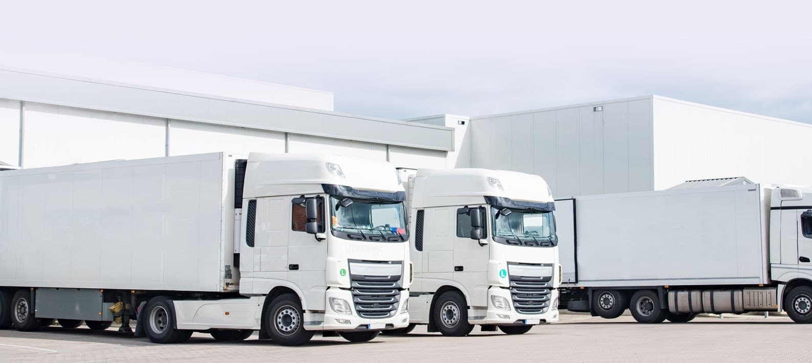 Academia PX — Web Detail 2